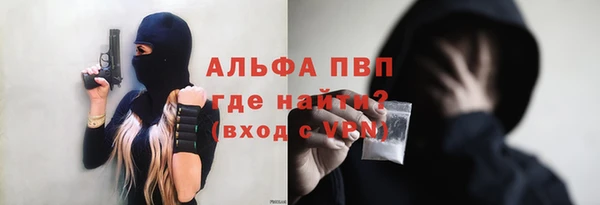 сатива Медногорск