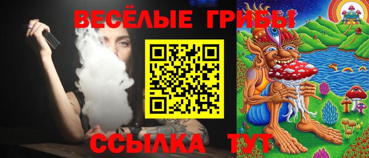 Псилоцибиновые грибы Psilocybe  Вход с VPN  купить наркотики сайты  Псилоцибиновые грибы Psilocybe  Сосновый Бор 